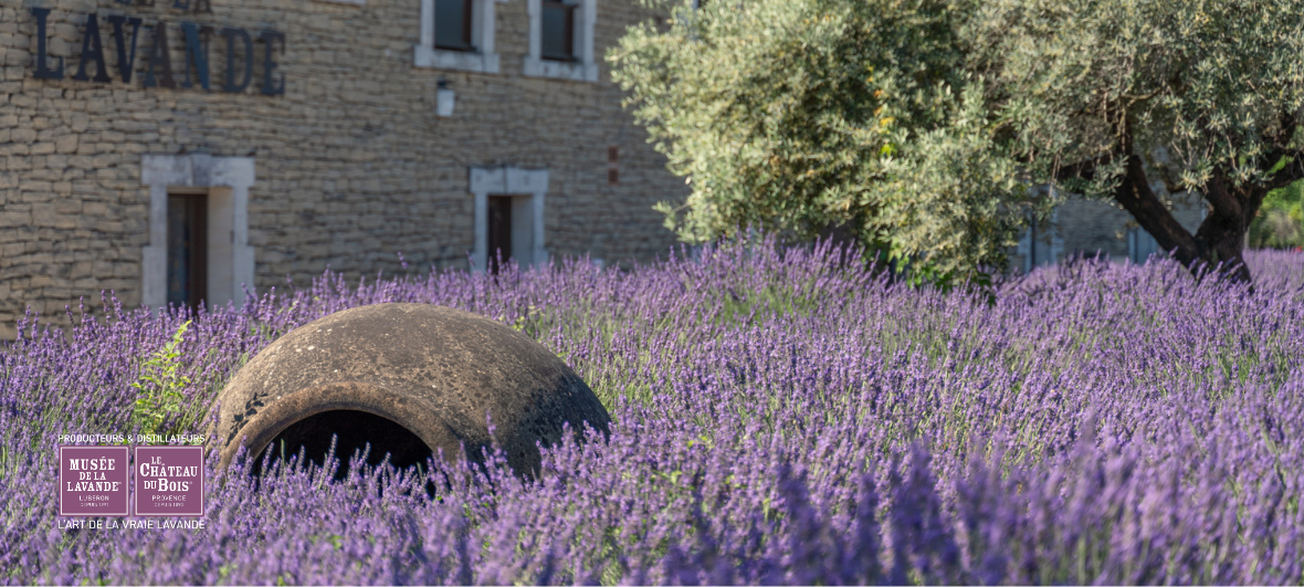 musée de la lavande luberon Coustellet 