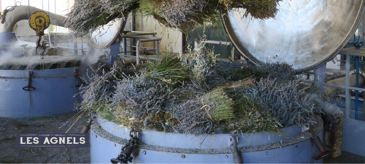 Distillilerie Les agnels en Provence