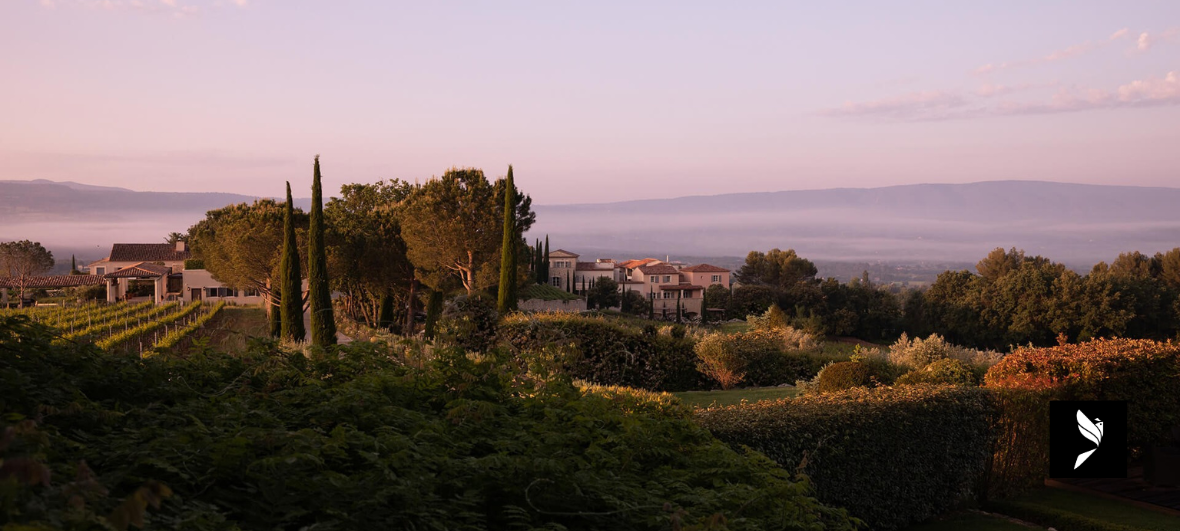 PAYSAGE DU VIGNOBLE DE LA COQUILLADE GOULT LUBERON