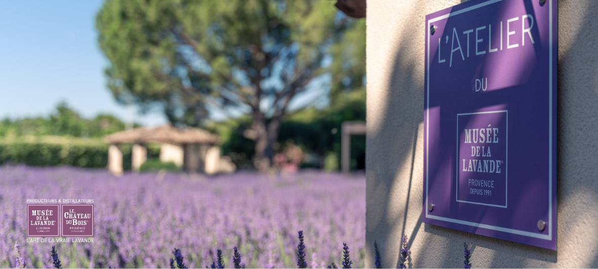 ateliers et évènements musée de la lavande luberon 