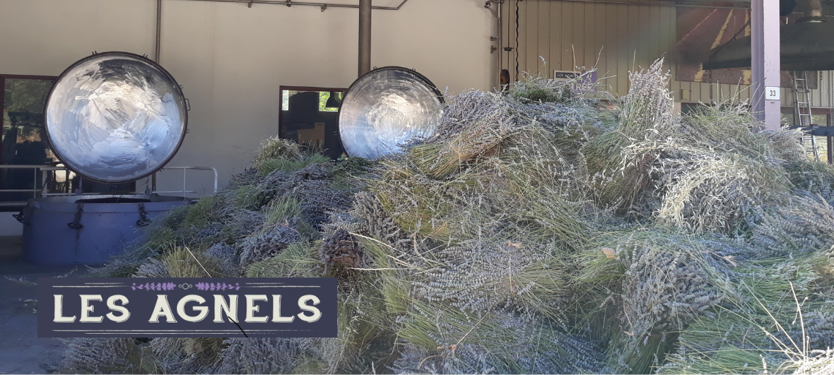 distillerie de lavande les agnels apt