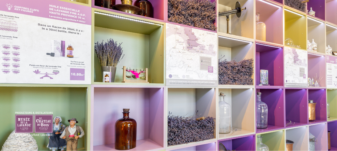 visite musée de la lavande luberon 