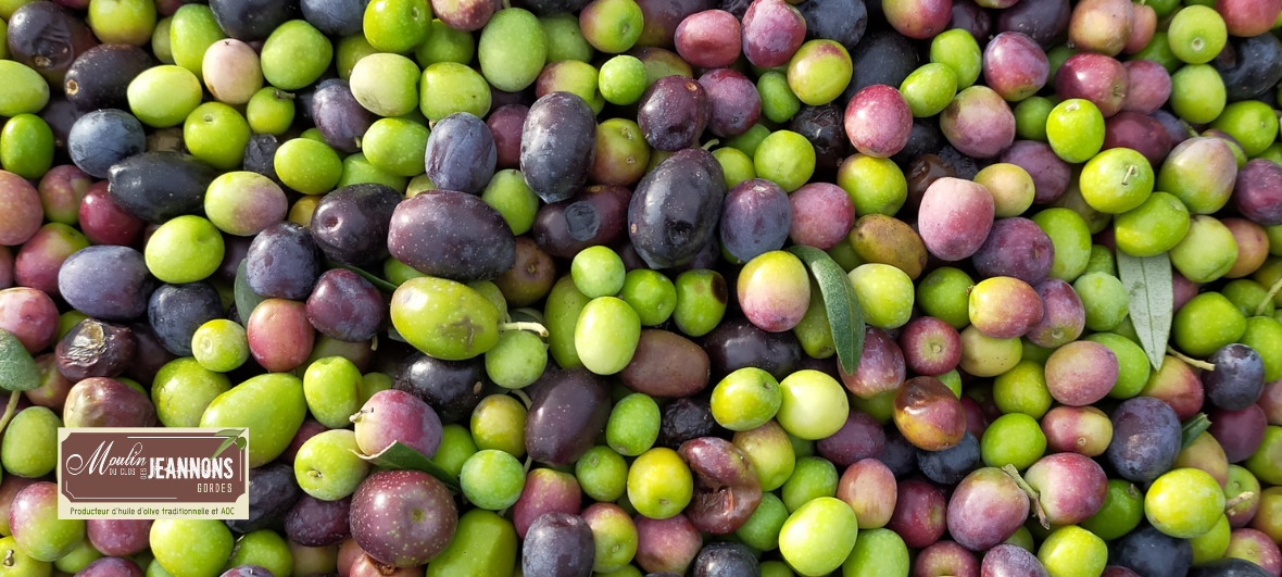 huile d'olives moulin jeannons gordes
