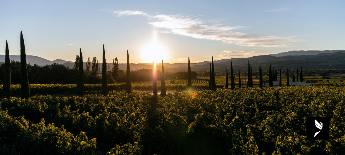 PAYSAGE MAGNIFIQUE LUBERON LA COQUILLADE LUBERON