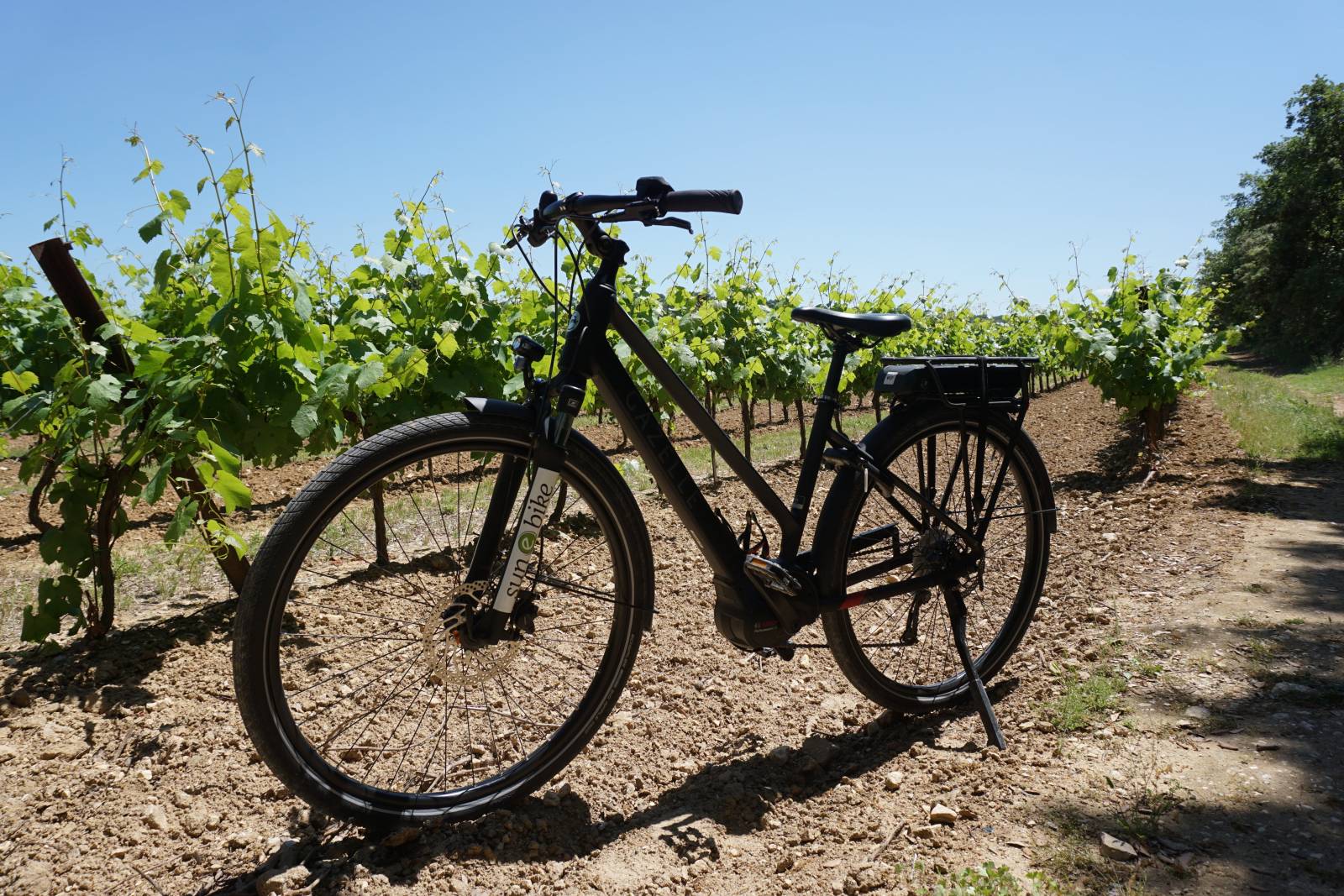 Balade à vélo dans les vignes