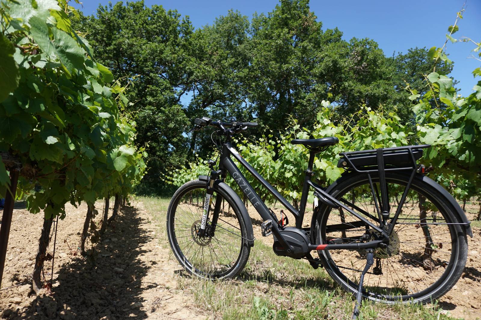Échappée dans les vignes du Luberon à vélo