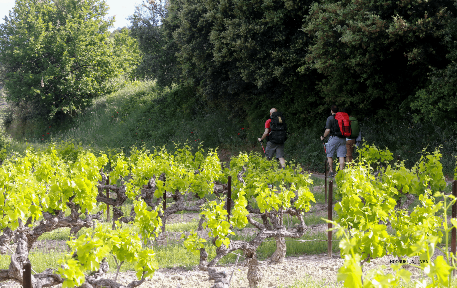Escapade en Provence, randos et découvertes