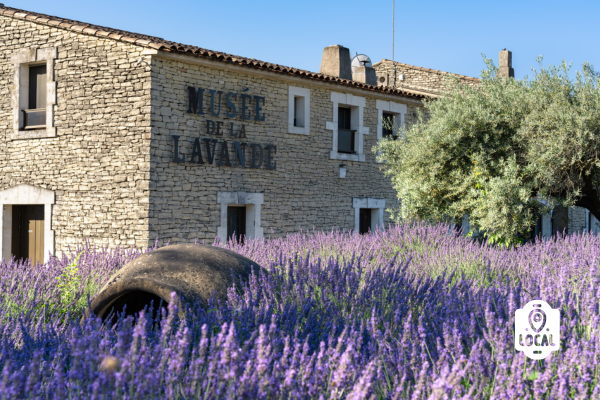 Musée de la Lavande Luberon Coustellet