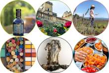 Notre zone d'activité pour ce service Excursion touristique des villages et paysages provençaux avec visite des producteurs de vin et dégustation