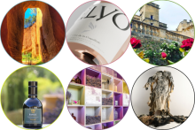 Nos prestations sur le secteur de à Gordes en Provence, Région Sud