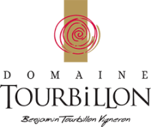LOGO DOMAINE TOURBILLON LAGNES VAUCLUSE